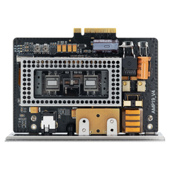 AMP19