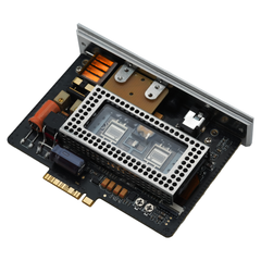 AMP19