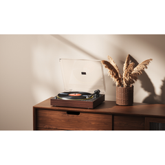 TT11 Bruin - Outlet
