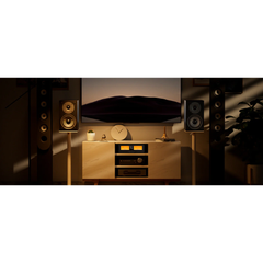 LC30 VU Meter Amplifier Speaker Selector