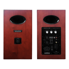 Airpulse A200
