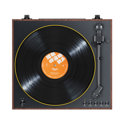 TT11 Bruin - Outlet