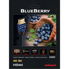 BlueBerry HDMI