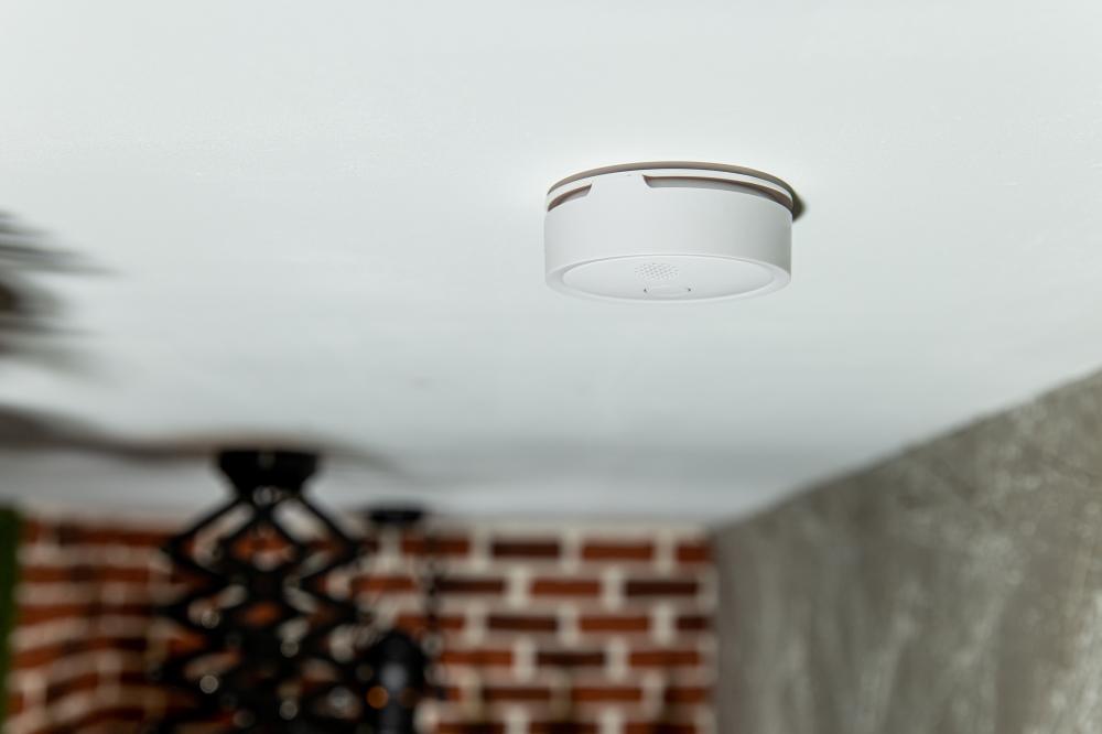 Plug & Play - Plus Smoke - WLAN Rookmelder - Akku
